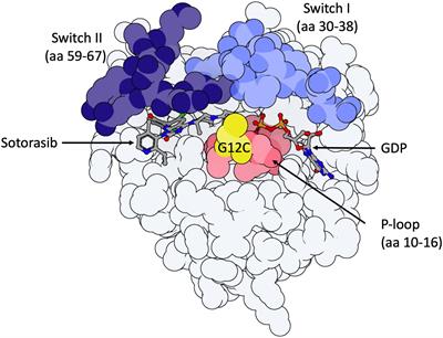 Mechanisms of resistance to KRASG12C inhibitors in KRASG12C-mutated non-small cell lung cancer